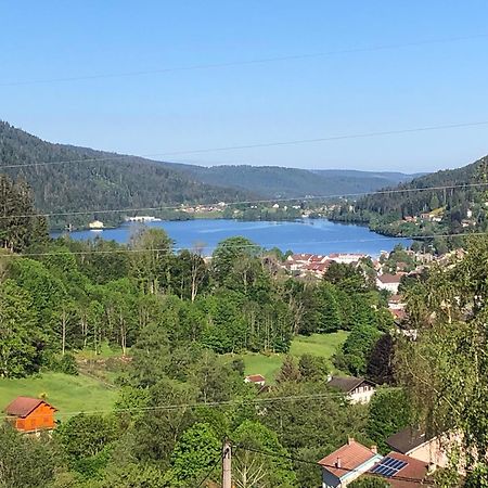 F3 Superbe Vue Lac, Grand Balcon, Ambiance Nature Gérardmer Εξωτερικό φωτογραφία